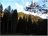 Tržiški graben - Planina Javornik